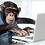 CyberDudeJ